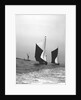 'Gloria' (Br, 1898) and 'Sirdar' (Br, 1898) under sail by unknown