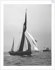 'Satanita' (Br, 1897) under sail by unknown