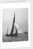 'Satanita' (Br, 1897) under sail by unknown
