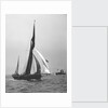 'Satanita' (Br, 1897) under sail by unknown