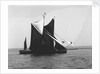 'Sirdar' (Br, 1898) and 'Lord Nelson' (Br, 1898) under sail by unknown