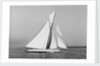 A yacht under sail by Anonymous