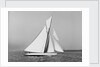 A yacht under sail by Anonymous