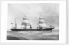 'Cuzco' (1871) by F. C. Gould & Son