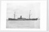 Cargo steamer 'Gulf of Venice' (Br, 1883), Greenock S S Co Ltd by unknown