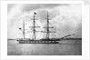 'Suffolk' (Br, 1857) by unknown