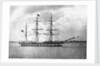 'Suffolk' (Br, 1857) by unknown