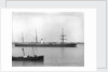 'Erin' (Br, 1864) by Anonymous