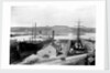 The dry dock at Falmouth with SS 'Alleghany' berthed and a 3-masted barque in the adjacent dry dock by unknown