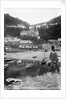 Clovelly Harbour and Village, Devon by Francis Frith & Co.