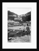 Clovelly Harbour and Village, Devon by Francis Frith & Co.
