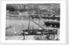Harbour and flock of seagulls, Mevagissey, Cornwall by Francis Frith & Co.