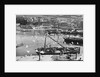 Harbour and flock of seagulls, Mevagissey, Cornwall by Francis Frith & Co.