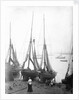 View across River Thames with fishing bawleys drawn up onto the foreshore. Gravesend, Kent by unknown