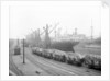 'Everonika' (La, 1906) at quayside in Stalbridge dock, Garston by unknown