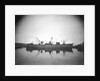 'Kong Sverre' (No, 1941), ex 'Empire Grenfell', at quayside, Liverpool, prior to 22 June 1943 by unknown