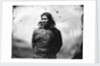 One of the Greenland Inuit by Edward Augustus Inglefield