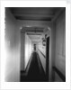 Corridor to the First Class Ladies' Room on the 'Saxonia' (1900) by Bedford Lemere & Co.