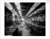 Brass-Finishing Shop at John Brown & Co. Ltd, Clydebank, 1901 by Bedford Lemere & Co.