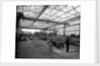 Sawmill at John Brown & Co. Ltd, Clydebank, 1901 by Bedford Lemere & Co.