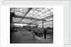 Sawmill at John Brown & Co. Ltd, Clydebank, 1901 by Bedford Lemere & Co.