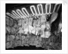 Frozen meat in the hold of the 'Highland Rover' (1910) by Bedford Lemere & Co.