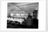 Second Class Dining Saloon on the 'Orama' (1911) by Bedford Lemere & Co.