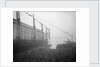 Aquitania' (1914) moving down the ways by Bedford Lemere & Co.