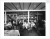 First Class Dining Saloon on the 'Orduna' (1914) by Bedford Lemere & Co.