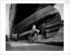 Stern view of the 'Aquitania' (1914) in drydock by Bedford Lemere & Co.