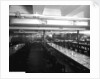 Third Class Dining Saloon on the 'Aquitania' (1914) by Bedford Lemere & Co.