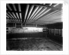 Junior Army and Navy Stores Ltd refrigerating chamber on the 'Borodino' (1911) by Bedford Lemere & Co.