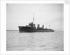 Torpedo boat destroyer HMS 'Meteor' (1914), under way in Southampton Water by unknown