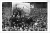 Strike of the National Union of Dock Labourers by unknown
