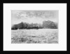 St John's Wharf, Wapping, London by unknown