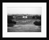 Allotments in Greenwich Park during the Second World War by unknown