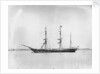 The P&O liner SS 'Indus' (1871) in 1882 by unknown