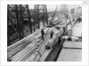 Wood unloaded from the Pacific Reliance (1951) by unknown