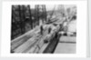 Wood unloaded from the Pacific Reliance (1951) by unknown