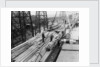 Wood unloaded from the Pacific Reliance (1951) by unknown