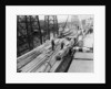 Wood unloaded from the Pacific Reliance (1951) by unknown