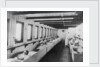 Upper hospital deck of the 'Geneva Cross' (1894) ambulance ship by unknown