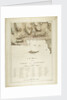 A plan of the town of Newport in the province of Rhode Island by Joseph Frederick Wallet Des Barres; Des Barres; Charles Blaskowitz