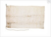 White Flag of Antarctica by unknown
