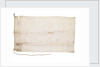 White Flag of Antarctica by unknown