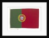 National flag of Portugal (after 1911) by Rudolph Equitz & Co