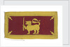 National Flag of Ceylon (1948-1951) by unknown