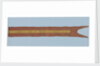 Chinese junk pennant by unknown