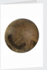 Terrestrial table globe by unknown