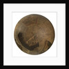 Terrestrial table globe by unknown